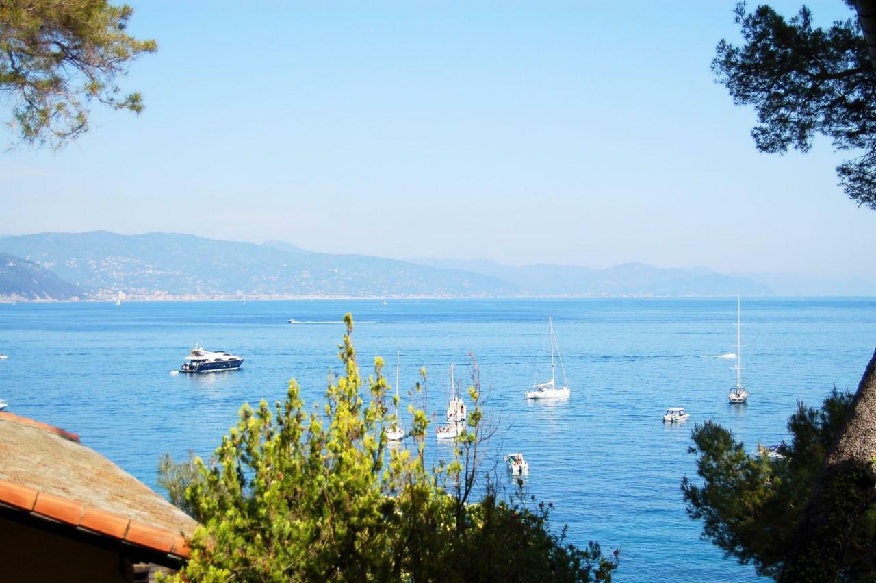Portofino Seaview Apartment, 50 Meters From The Beach, Free Parking, Air Conditioning Paraggi Bagian luar foto