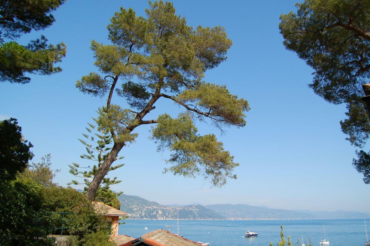 Portofino Seaview Apartment, 50 Meters From The Beach, Free Parking, Air Conditioning Paraggi Bagian luar foto